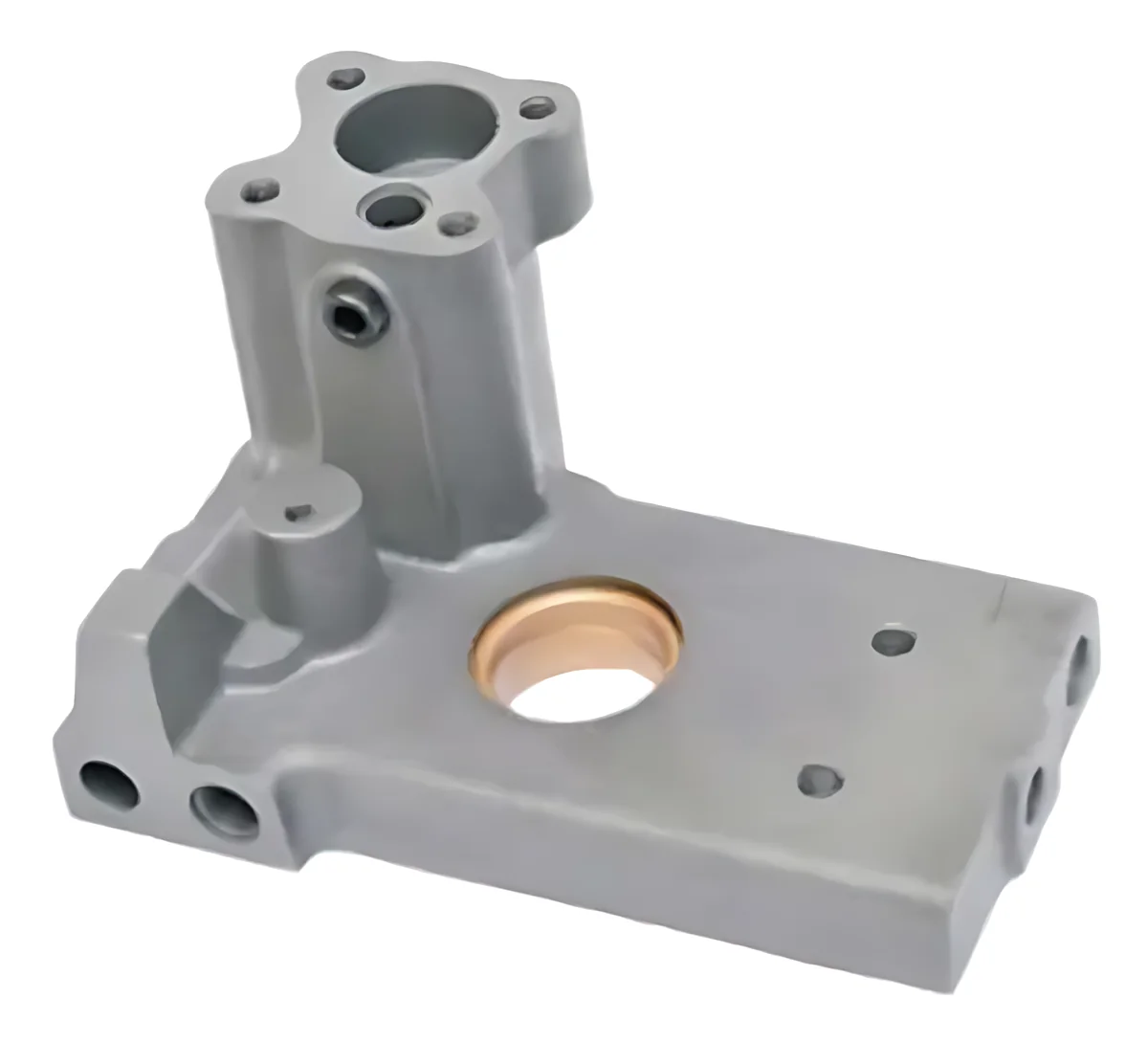 Hydraulic Pump Plate (Big) Rear with Bush and Screw